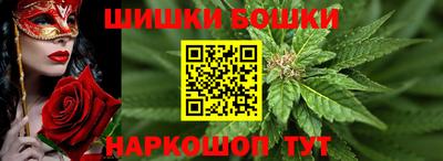 МДПВ Ирбит