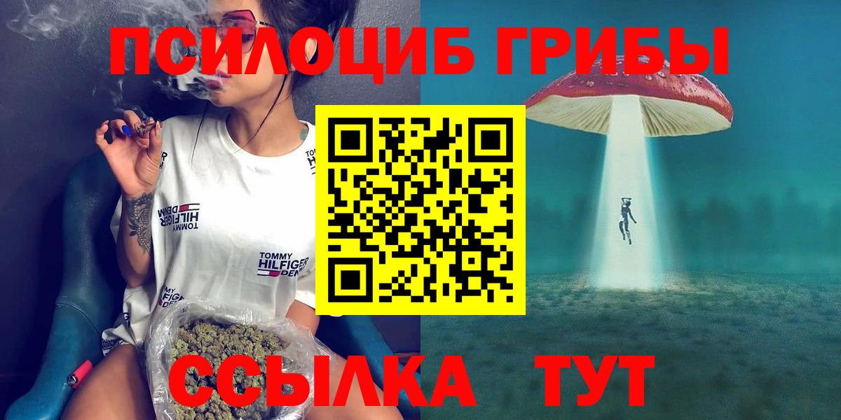 Галлюциногенные грибы GOLDEN TEACHER  Вход с VPN  где купить наркоту  Кудрово 