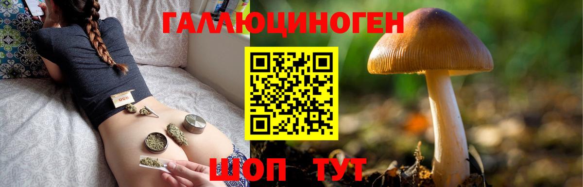 Галлюциногенные грибы мухоморы Кудрово